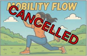 MobilityFlow_Cancelled