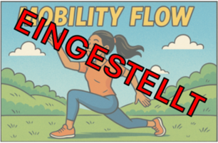MobilityFlow_eingestellt